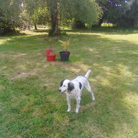 Oda ve Kahvaltı La Du Bearn Garlin